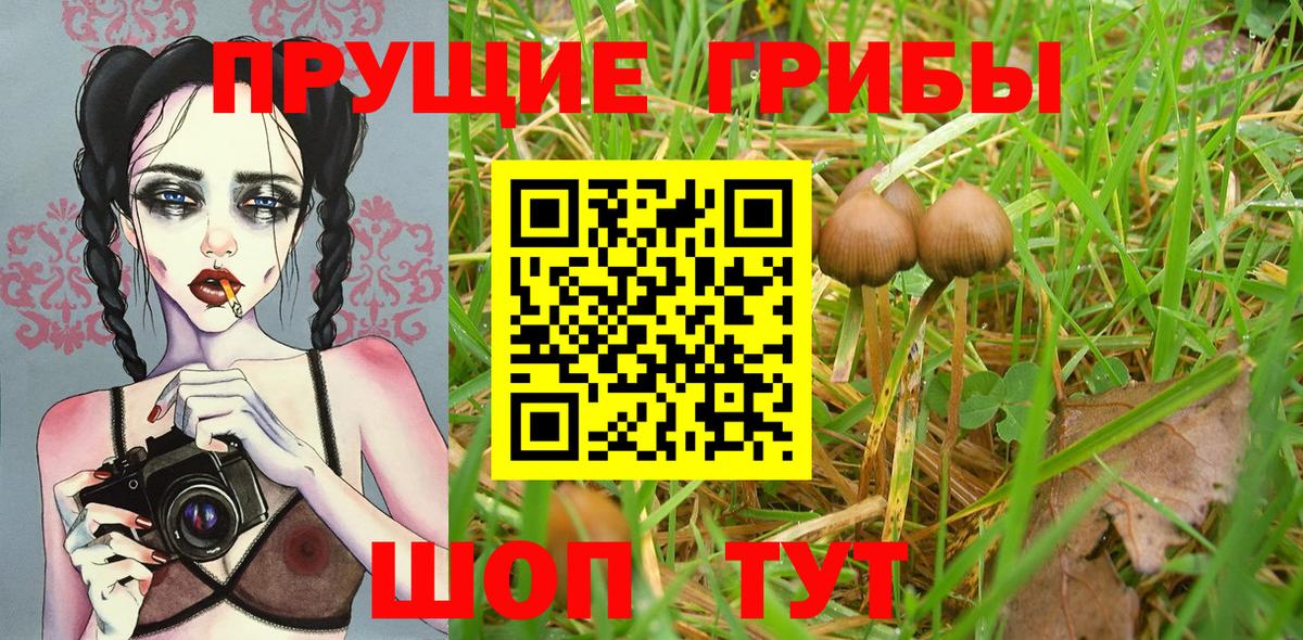 Псилоцибиновые грибы MAGIC MUSHROOMS Углич