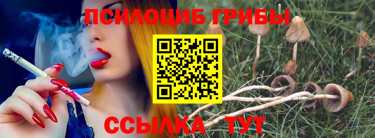 купить  цена  Вход с VPN  Углич  Псилоцибиновые грибы мухоморы 